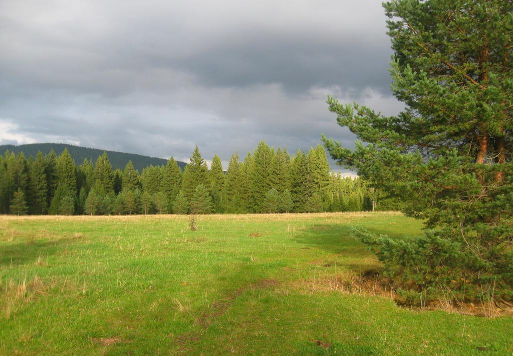 Ubytovani Na Slucim Tahu Prasily Buitenkant foto